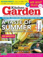 Kitchen Garden